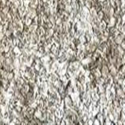 Crushed shell. This is the washed decorative grade; base-grade shell rock runs greyer and carries more limerock fines.