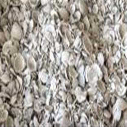 Small Washed Shell decorative stone for landscaping, delivered in South Florida